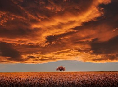 Guadalajara tiene algunos de los pueblos más bonitos a los que preparar una escapada romántica cerca de Madrid