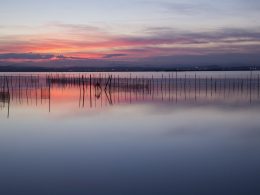 Escapada romántica a Valencia para visitar La Albufera