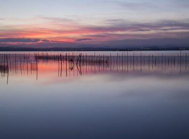 Escapada romántica a Valencia para visitar La Albufera