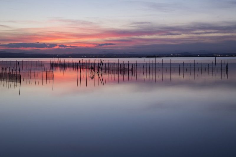 Escapada romántica a Valencia para visitar La Albufera