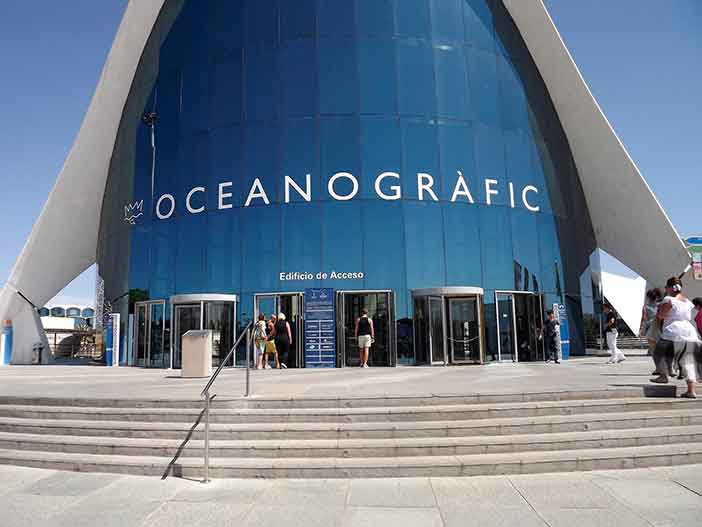 Visitar el Oceanográfic es un buen plan en Valencia para parejas