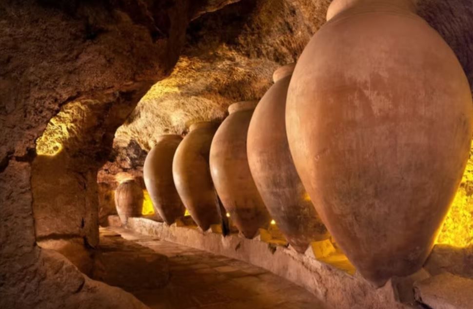 Visitar una bodega en Requena es una actividad muy original para hacer en pareja en Valencia