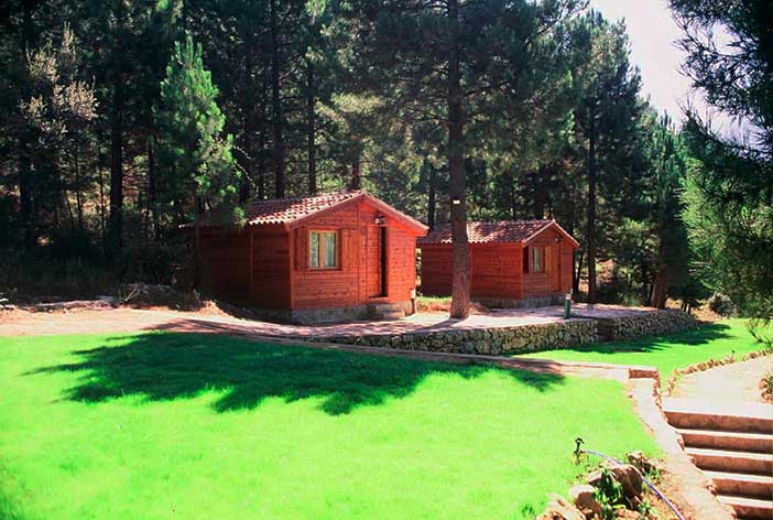 Las cabañas La toma del agua son unas buenas cabañas en los árboles en Castilla- La Mancha