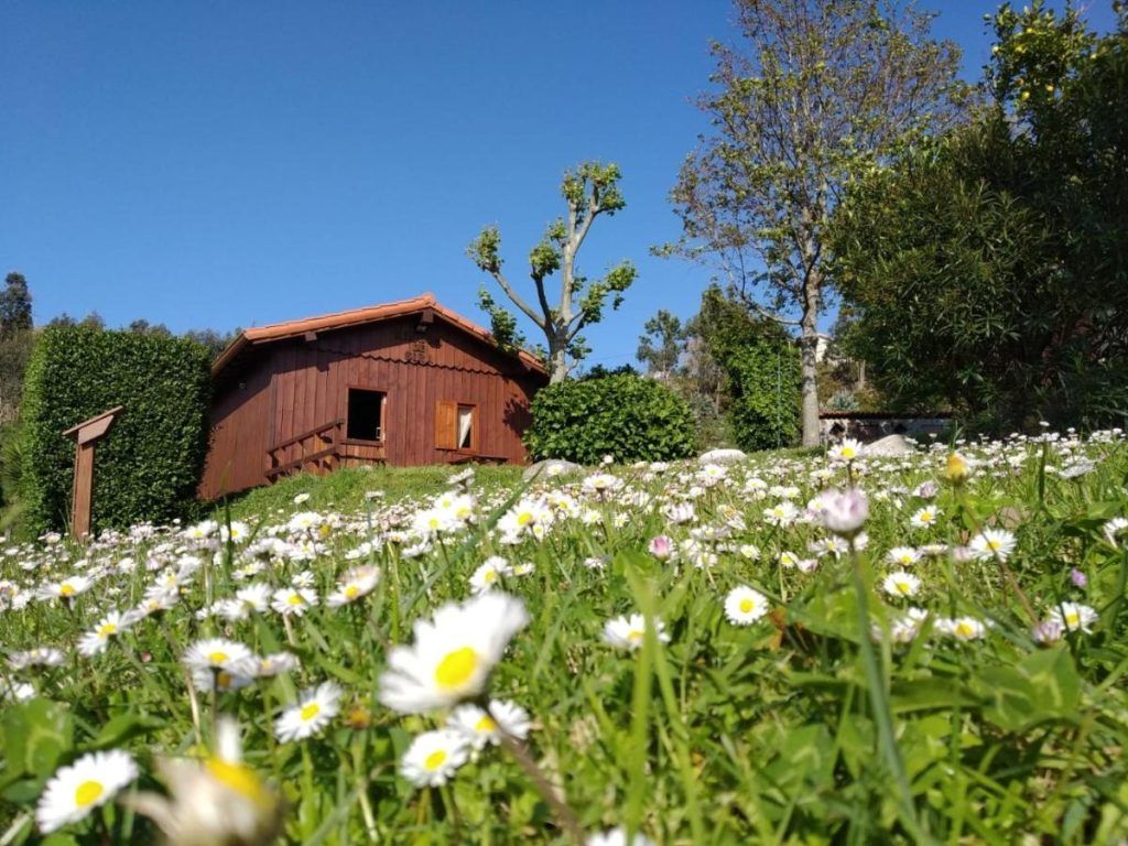 O rincón do Sira es una preciosa cabaña con encanto en A Coruña