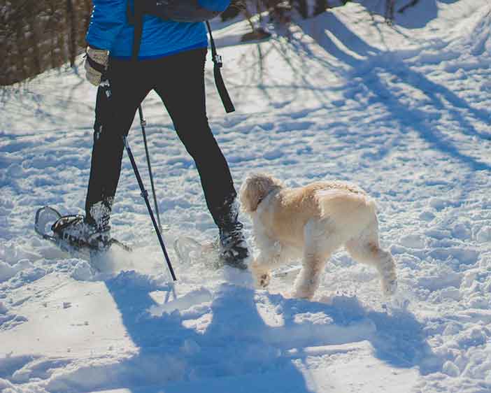 Una ruta con raquetas de nieve es uno de los planes de invierno en Madrid más originales